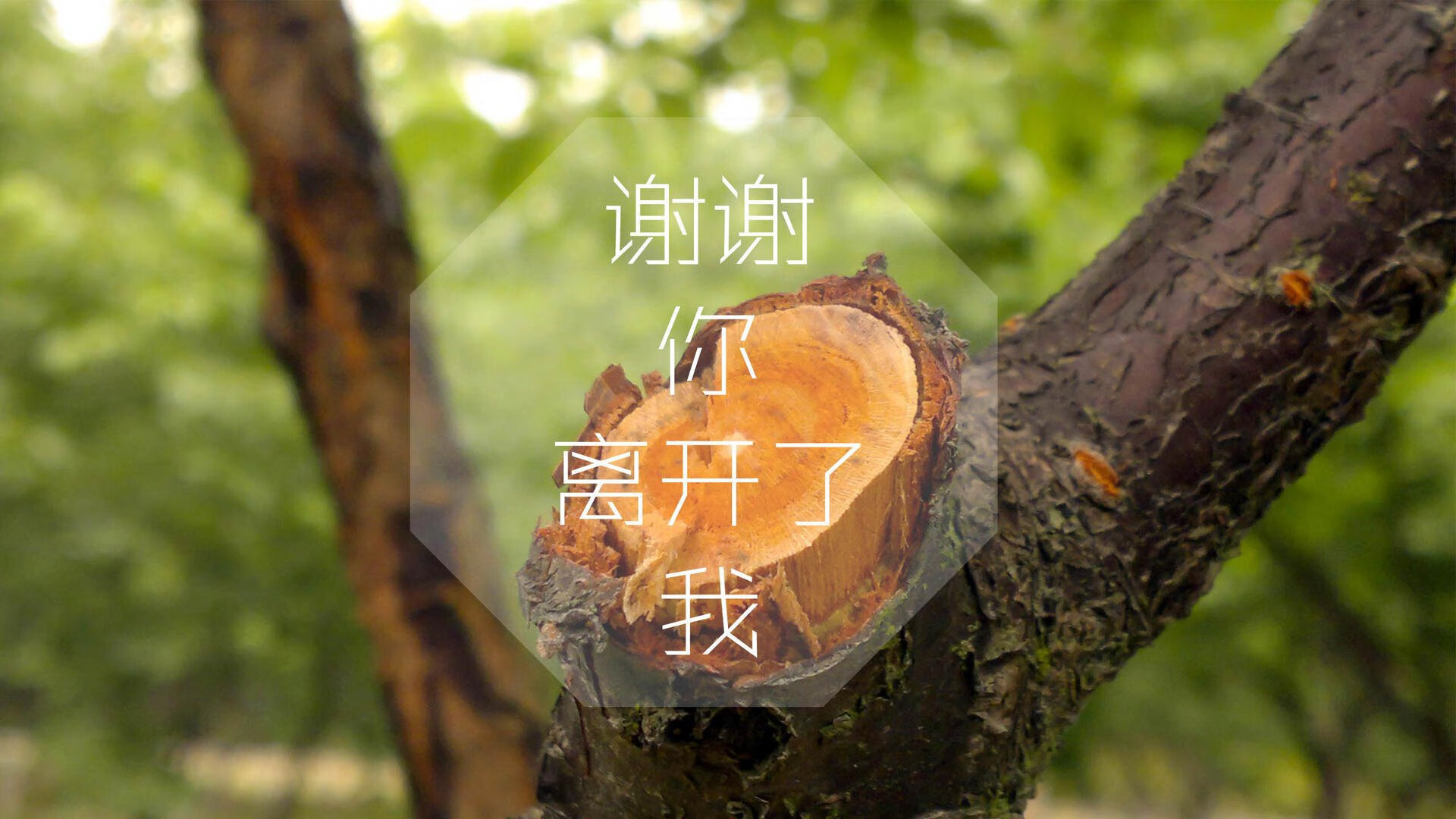 kaiyun官方入口登录-湖南男篮在场上全力拼搏，获得胜利，湖南男篮队员介绍
