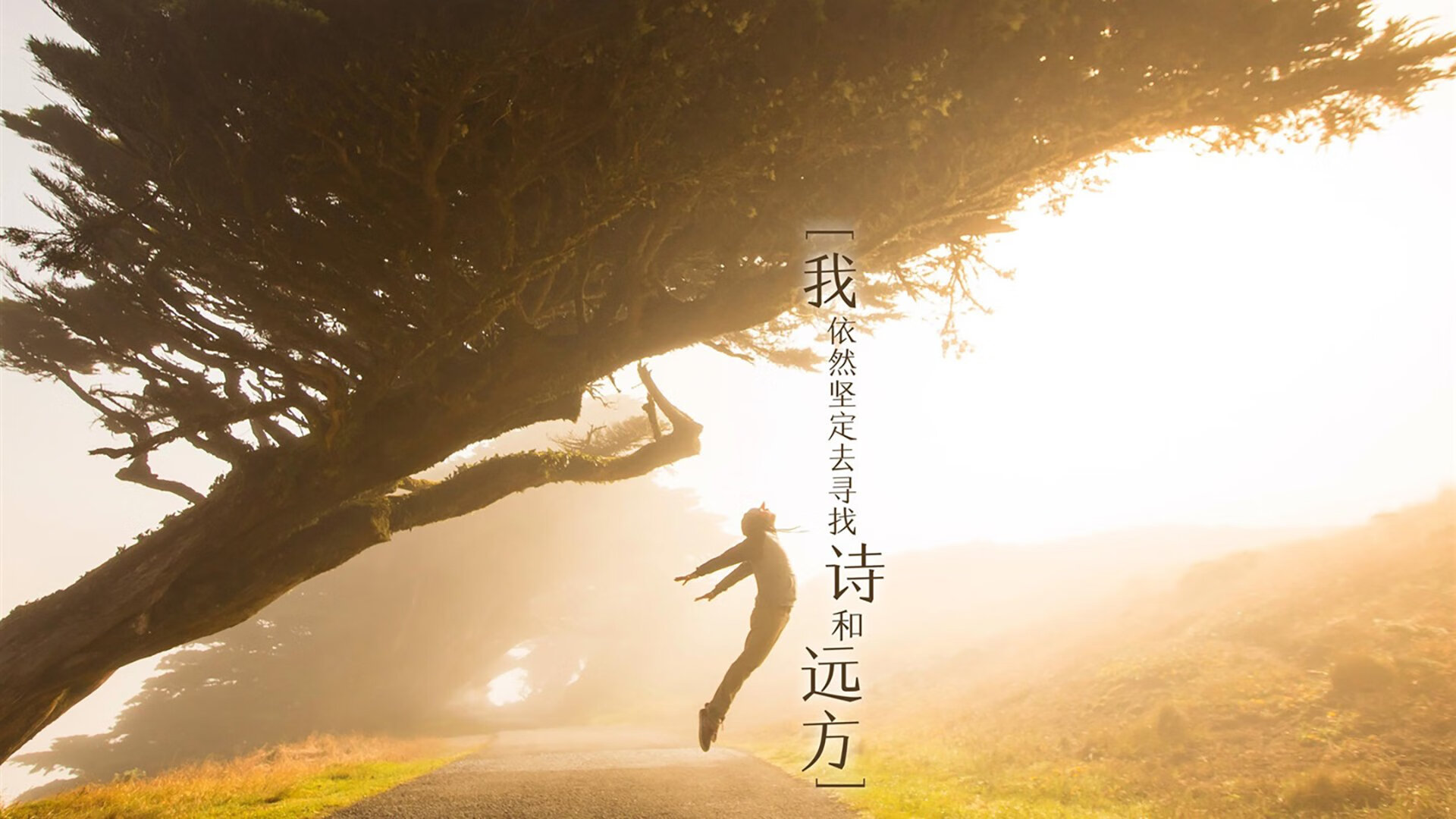 kaiyun开云·官方网站-狼队主场大胜，英超积分榜逐渐攀升，英超狼队实力怎么样