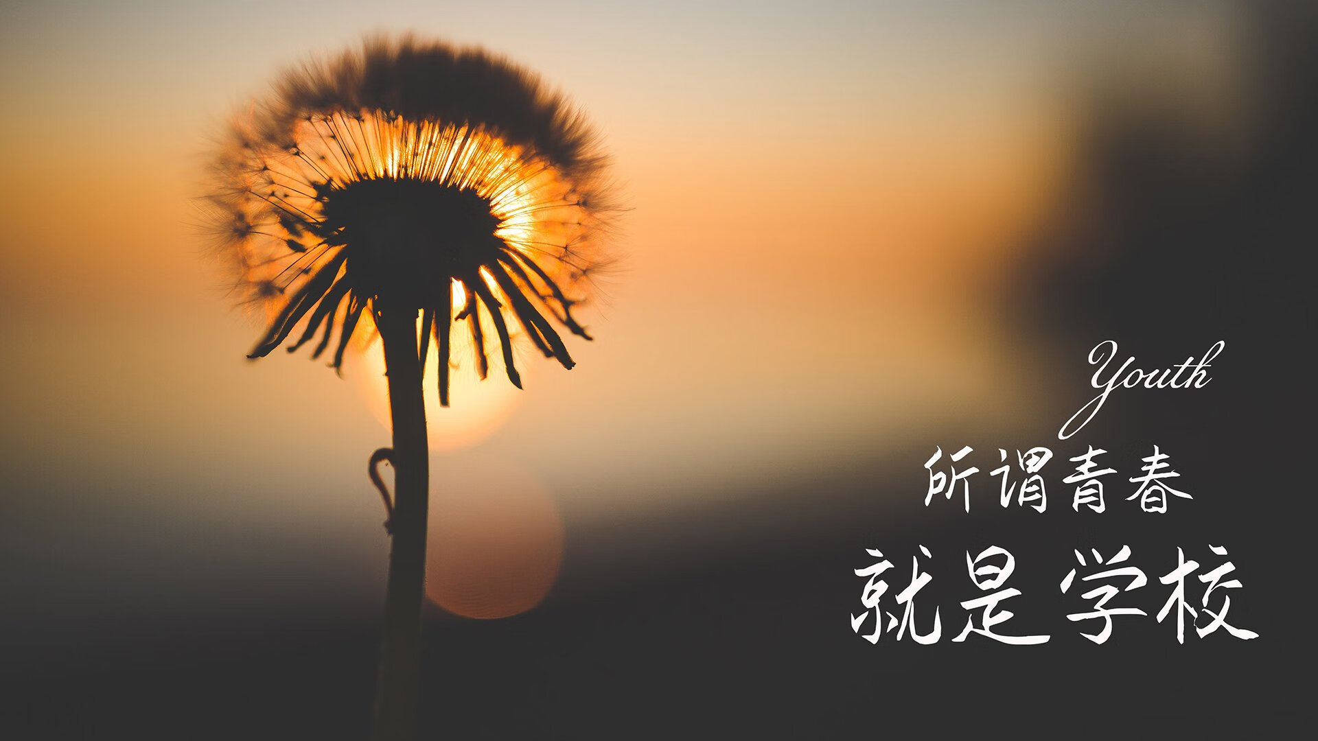 皇家马德里队长因伤缺席重要比赛，皇家马德里全队
