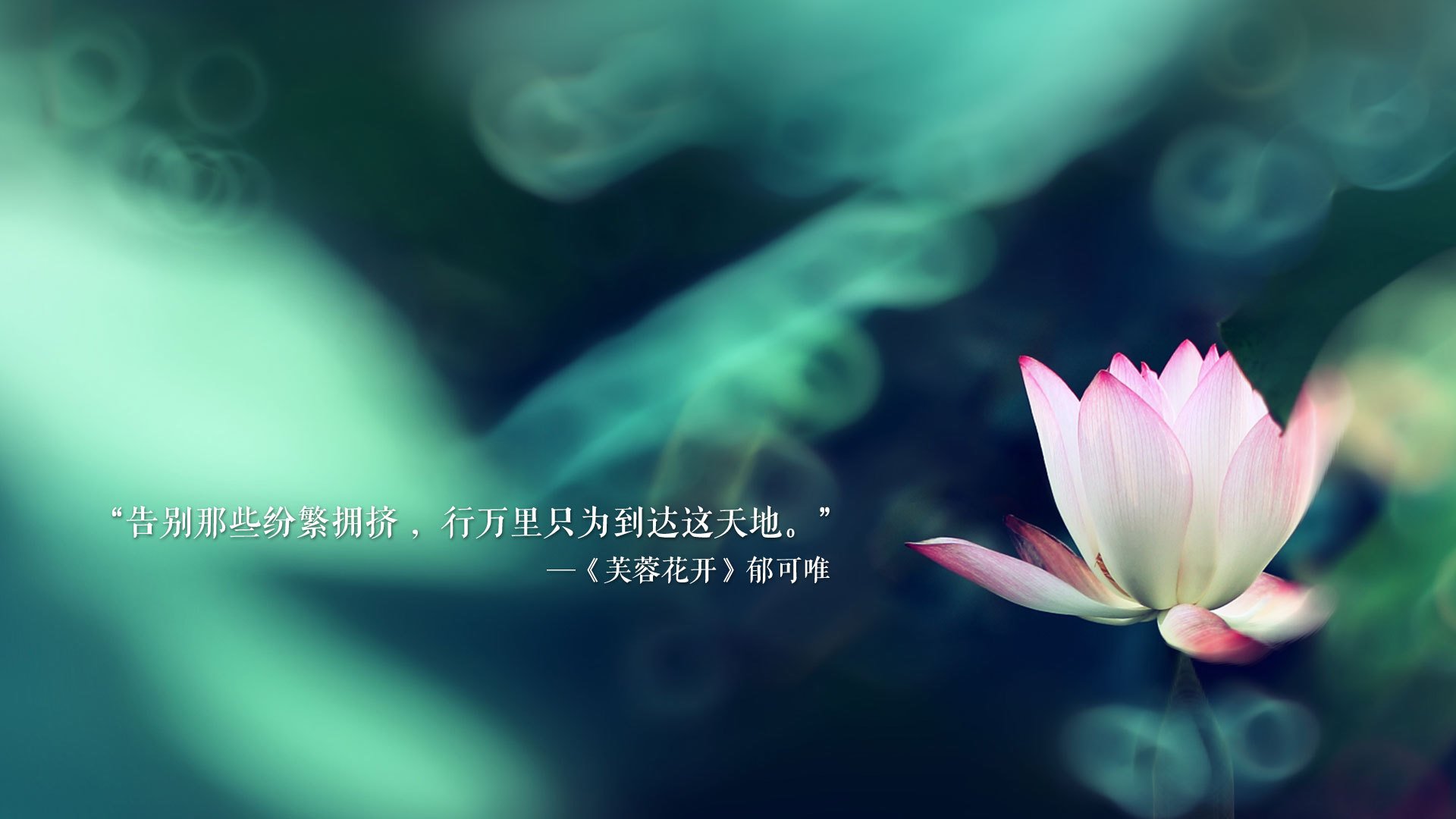 KAIYUN 中国大陆-“东桃花岛赛场：缆绳滑水展现飞翔与技巧的完美结合”