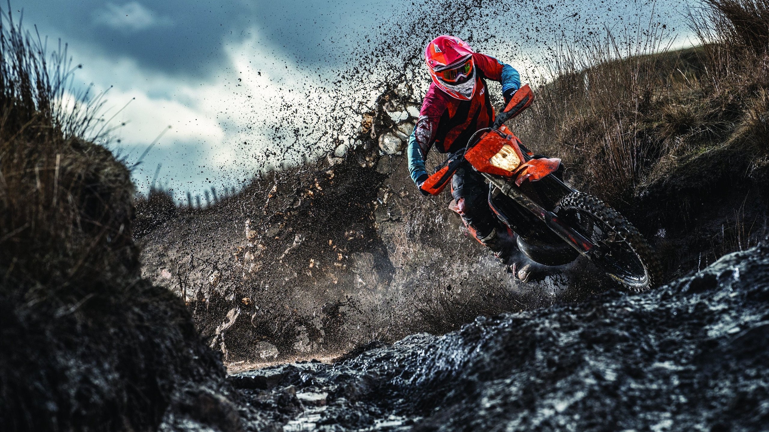 _青少年天文运动节：星空与运动的奇妙结合_，天文活动主题